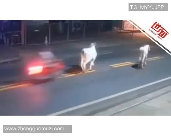 足坛巨星接连遭遇意外事故引发关注足球运动员安全再受热议